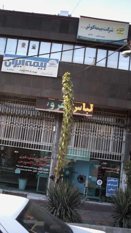 عکس خشکشویی وسفیدشویی شهران اکسپرس در کوهسار