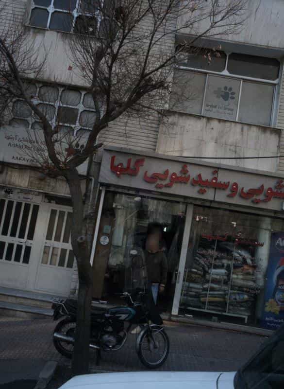 عکس خشکشویی و سفیدشویی گلها در شهرک آزمایش