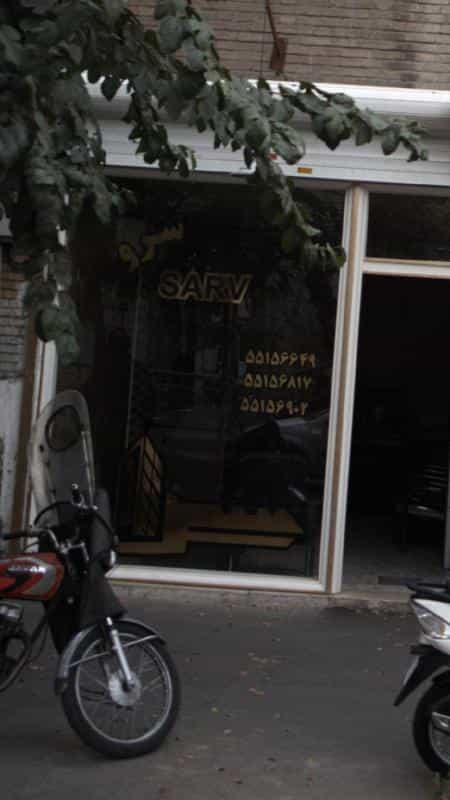 عکس سرو در سنگلج