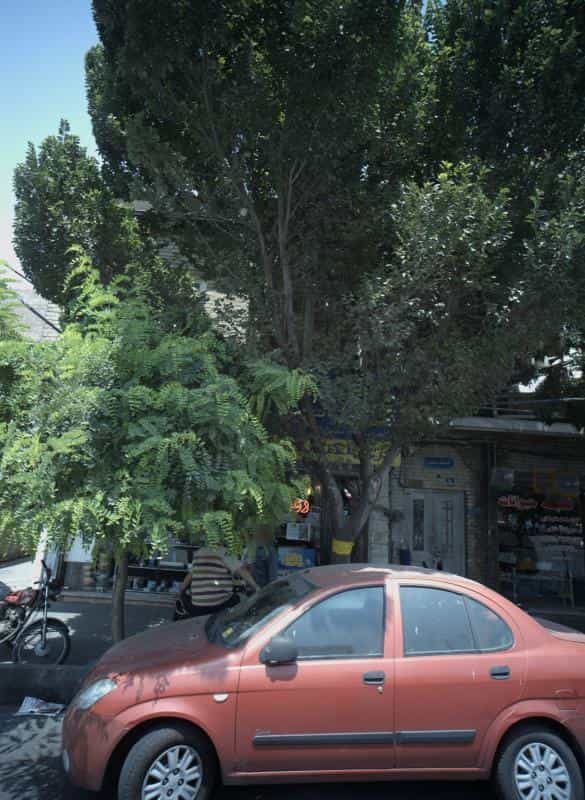 عکس ری الکتریک در فیروزآبادی