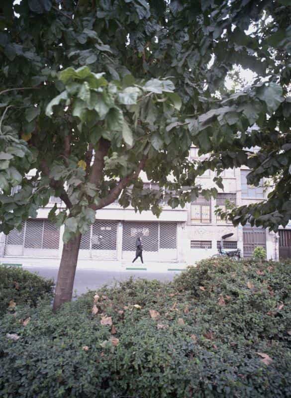 عکس الکتریکی مرادیان در سلسبیل شمالی