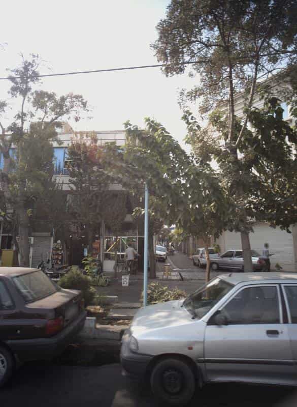 عکس الکتریکی ستاره در باغ آذری