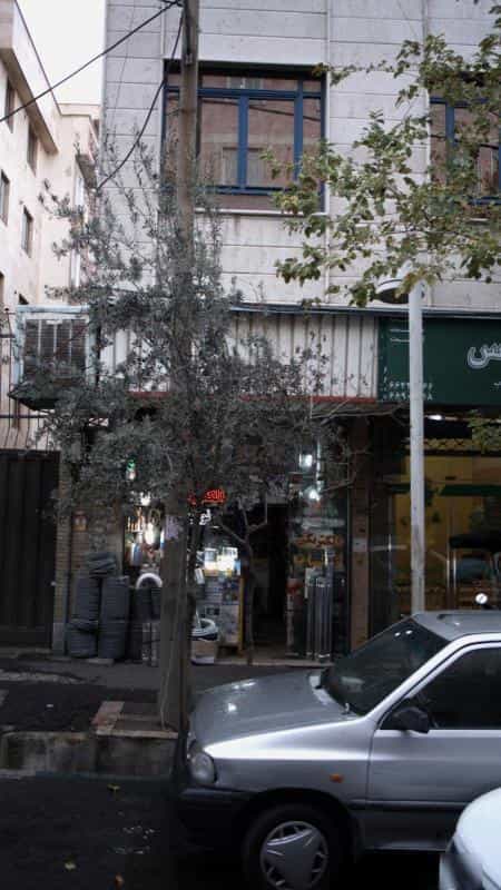 عکس الکتریکی در جمالزاده