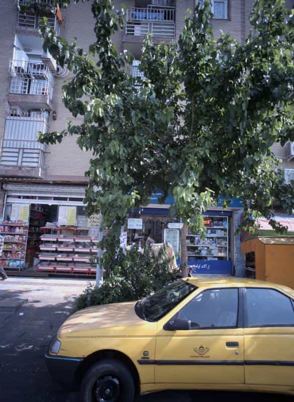 عکس الکتریکی در علی آباد جنوبی