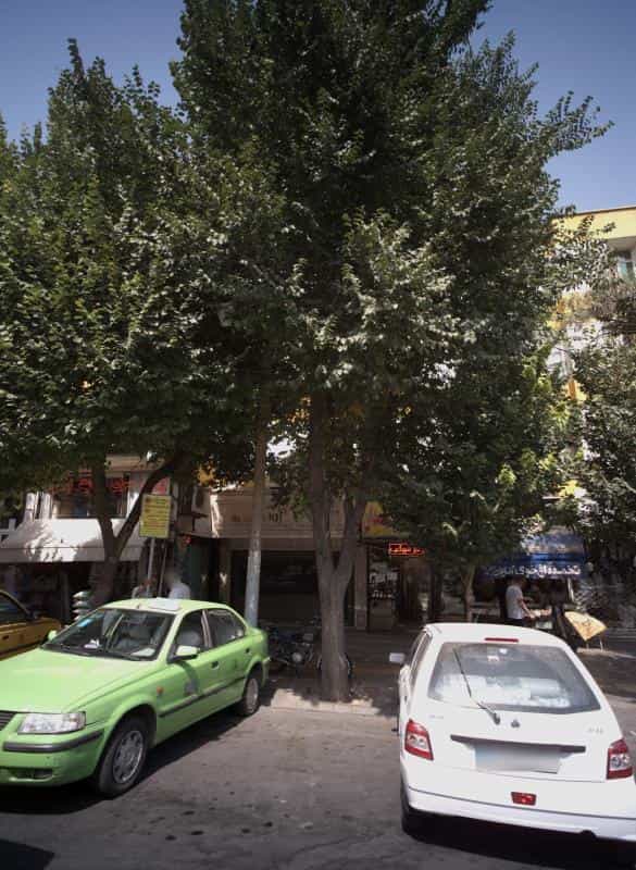 عکس پرده سرای آدینه نصر در دولت آباد