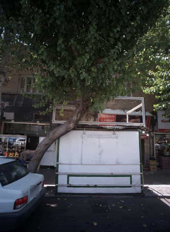عکس شیرینی فروشی در فردوسی