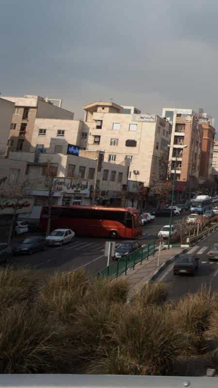 عکس شیرینی نهال در قنات کوثر