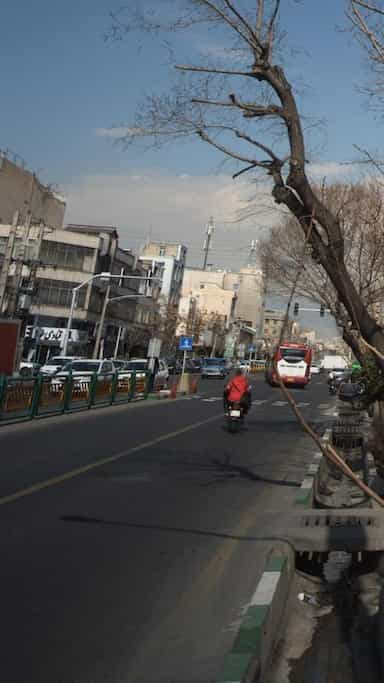 قنادی خوشه در پیروزی