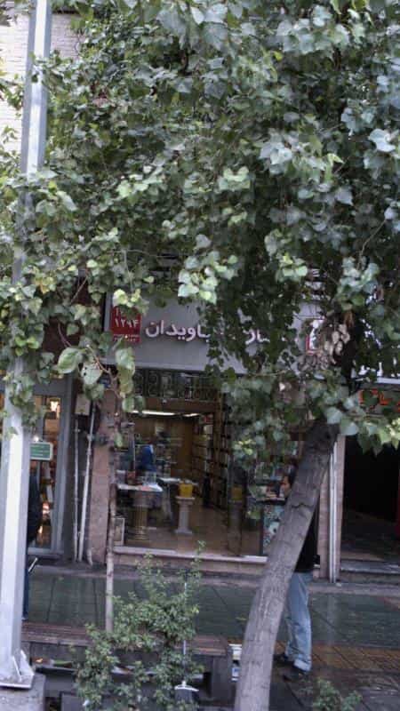 عکس کتاب‌فروشی جاویدان در انقلاب