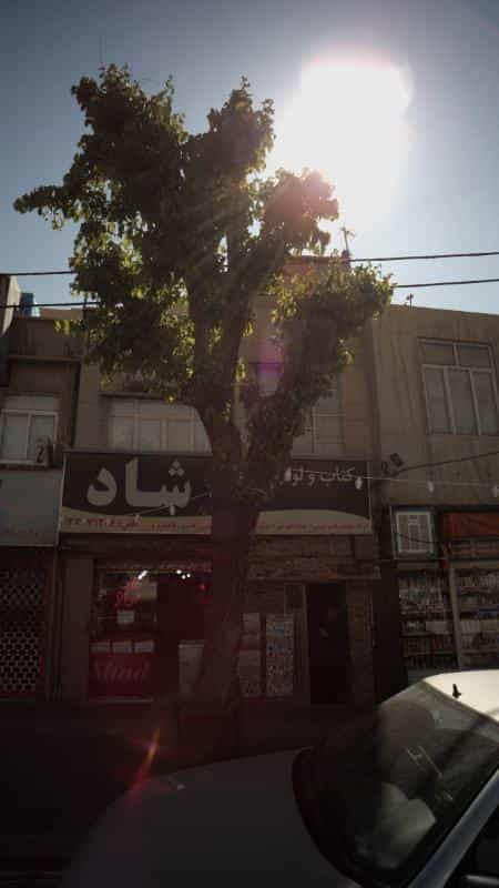 عکس کتاب و لوازم التحریر شاد در شیوا