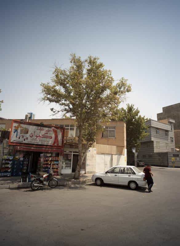 عکس کاهی کپه کلوچه در دولت آباد