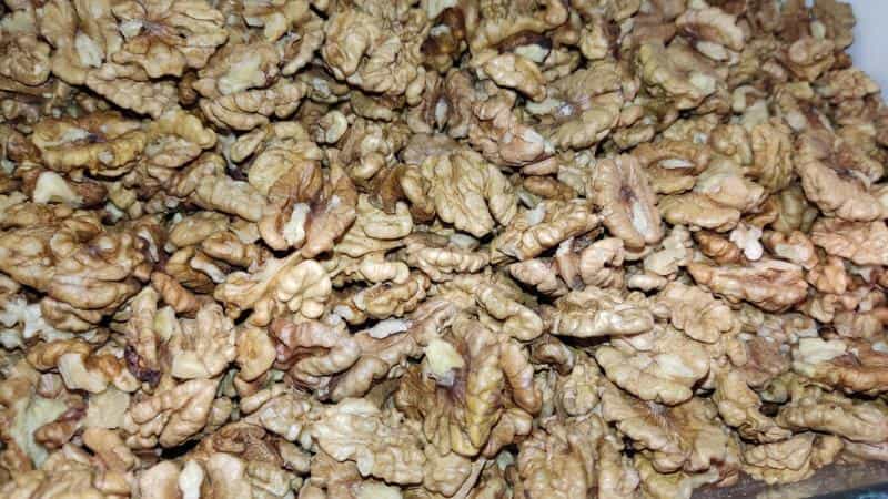 عکس محصولات شمال امیرعلی در نصرت