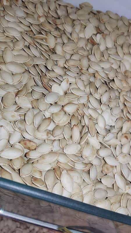 عکس محصولات شمال امیرعلی در نصرت