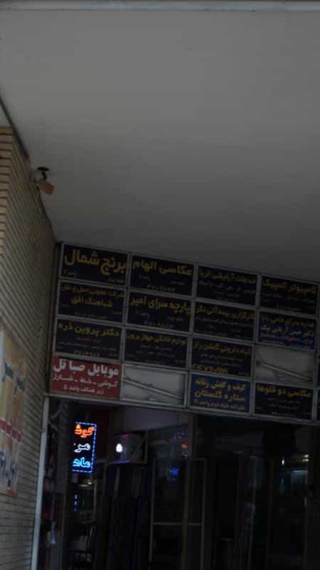 عکس عکاسی الهام در زیبادشت