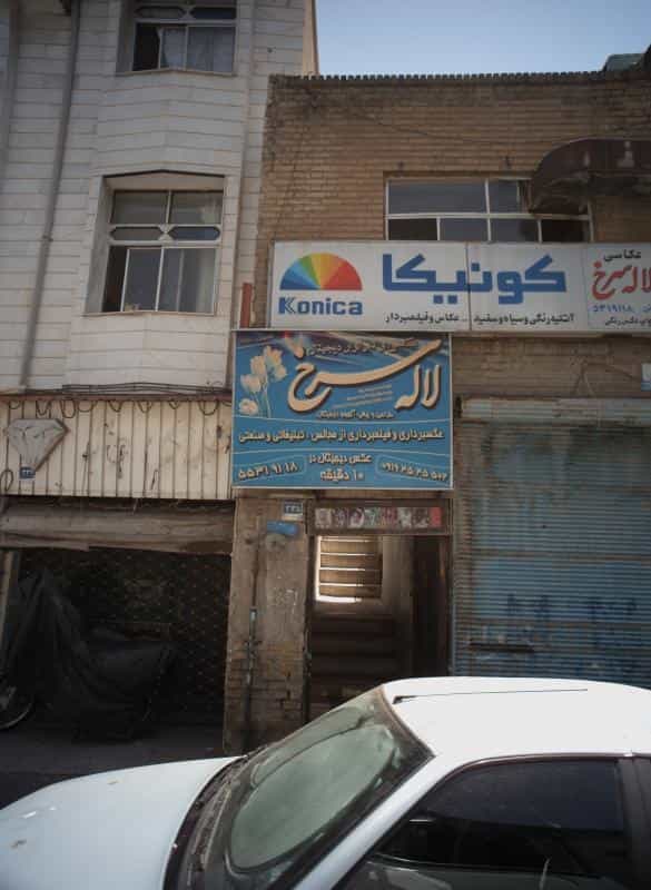 عکس عکاسی لاله سرخ در شوش