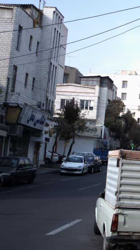 عکس عکاسی نخل در جنت آباد مرکزی