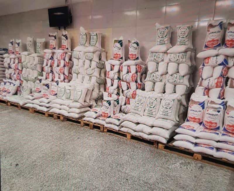 عکس برنج حمیدی در جنت آباد شمالی