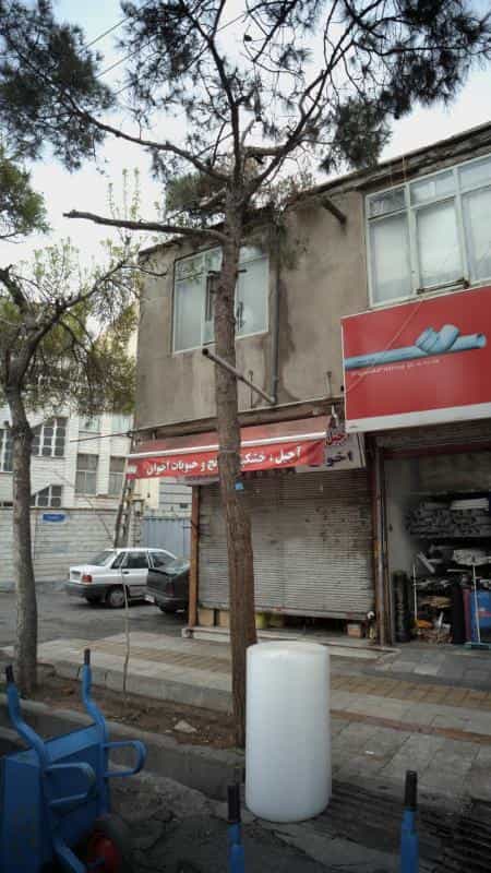 عکس آجیل و خشکبار برنج و حبوبات اخوان در خانی آباد شمالی