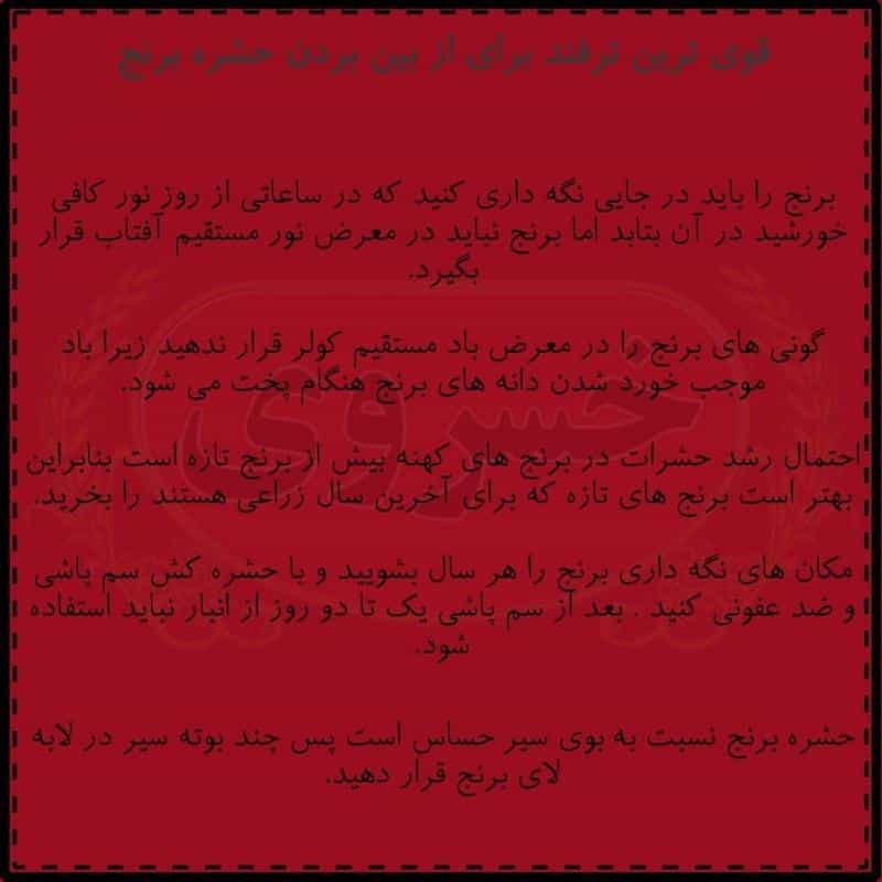 عکس برنج فروشی خسروی در فدک