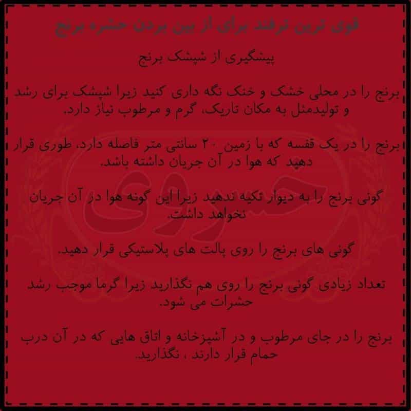 عکس برنج فروشی خسروی در فدک