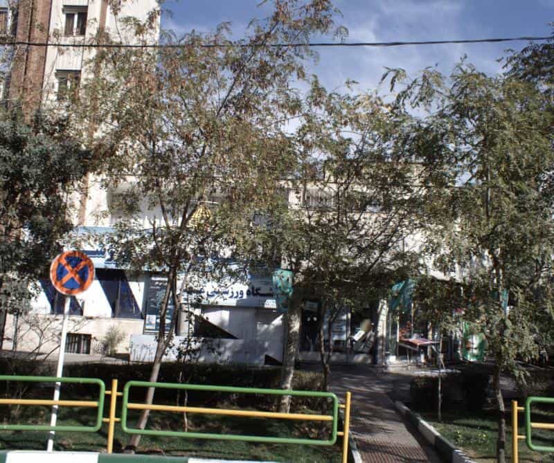 عکس باشگاه ورزشی مهر در مدائن