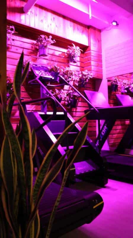 عکس باشگاه ورزشی هور شعبه 2(ویژه بانوان) در پرستار