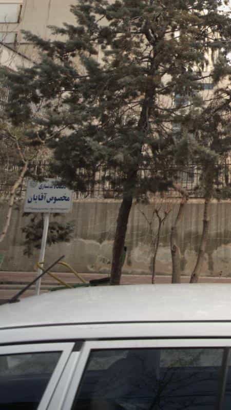 عکس دستگاه بدنسازی مخصوص آقایان در داوودیه