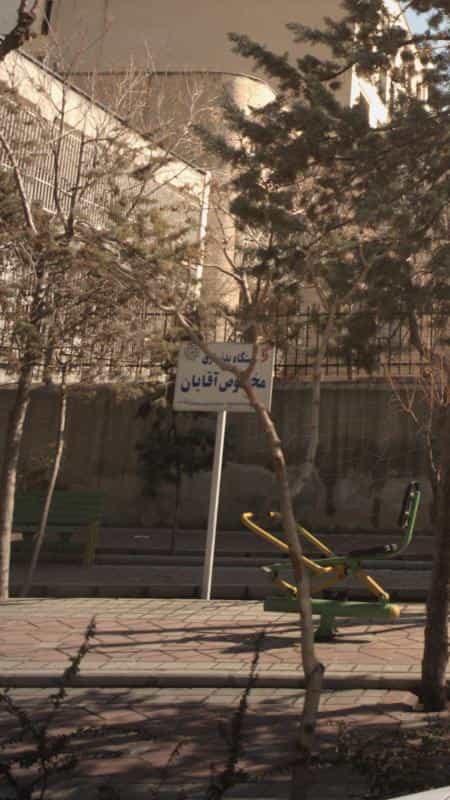 عکس دستگاه بدنسازی مخصوص آقایان در داوودیه