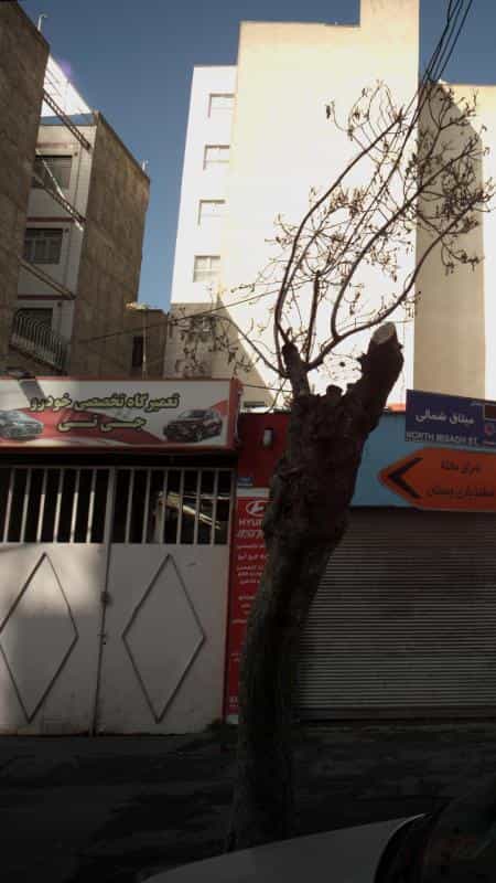 عکس تعمیرگاه تخصصی خودرو جی تی در خانی آباد نو