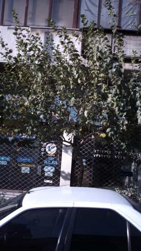 عکس شرکت هواپیمایی در نیرو هوایی