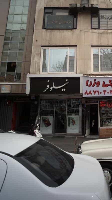 عکس نیلوفر در آرژانتین