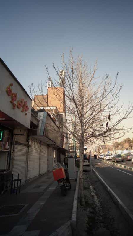 عکس رستوران و جگرکی پونه در عباس آباد