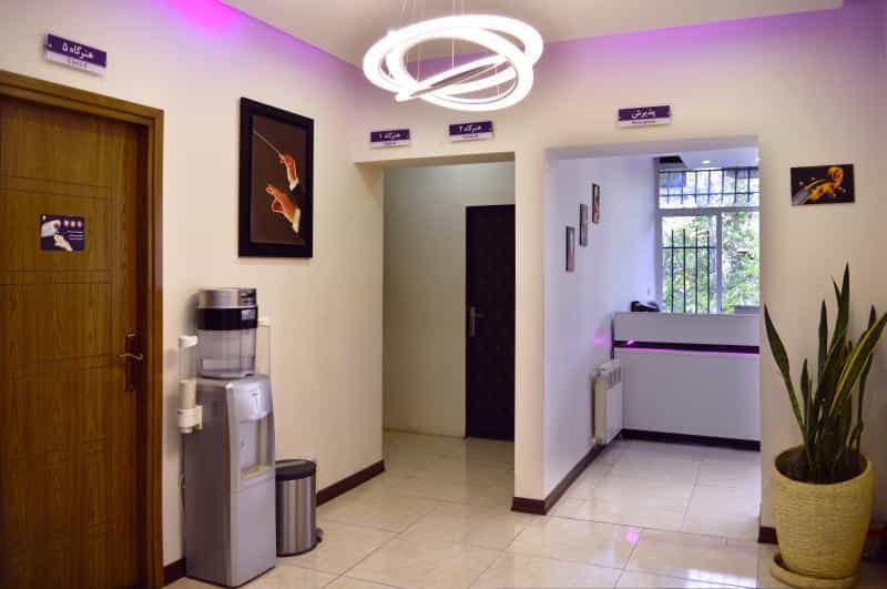 عکس آموزشگاه موسیقی پژواک در محمودیه