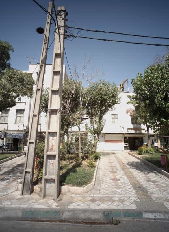 عکس پیک بادپا در باغ آذری