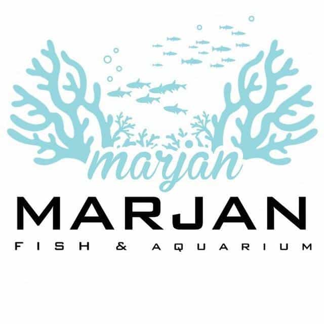 عکس آکواریوم مرجان در دردشت