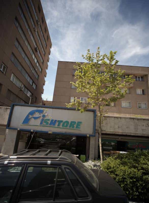 عکس آکواریوم مالاوی در سلسبیل جنوبی