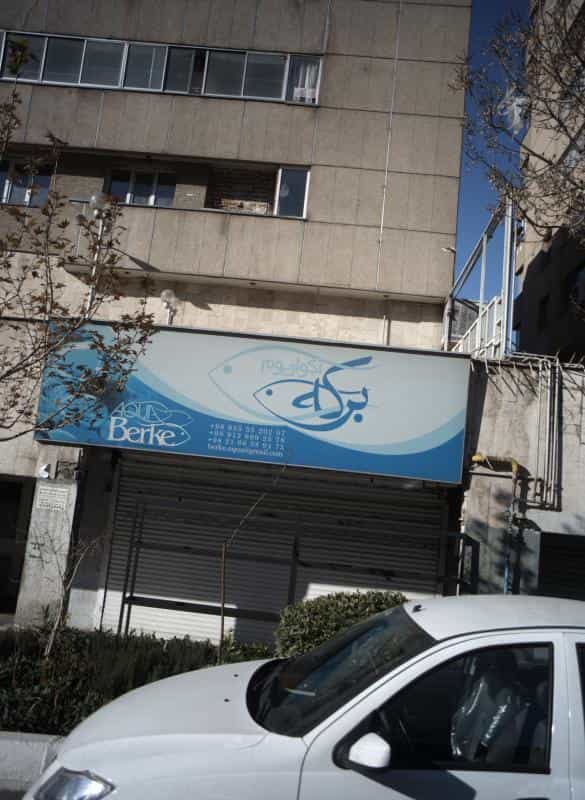 عکس آکواریوم برکه در سلسبیل جنوبی