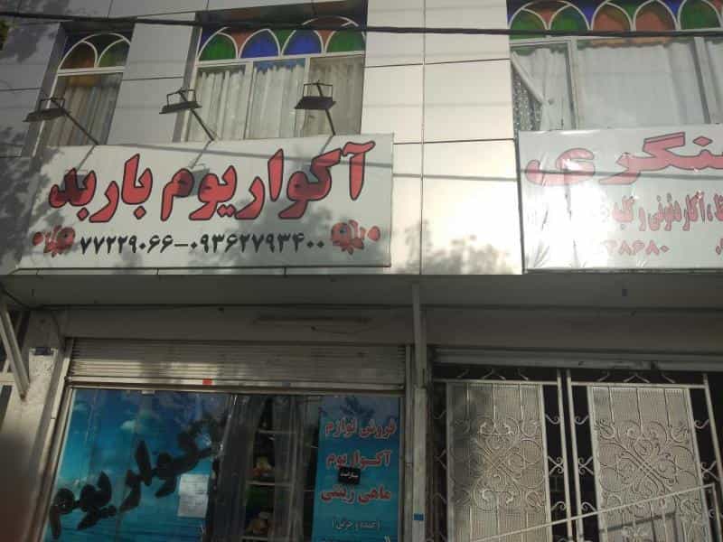 عکس آکواریوم باربد در اوقاف