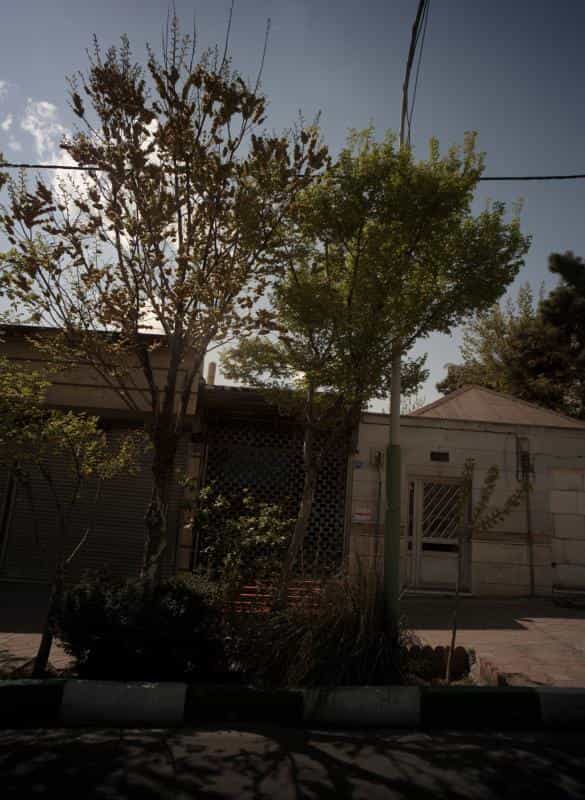 عکس آکواریوم ستاره خلیج در اختیاریه