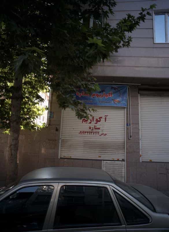 عکس آکواریوم ستاره در شمشیری