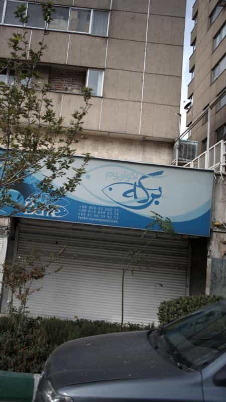 عکس آکواریوم باراکودا در سلسبیل جنوبی