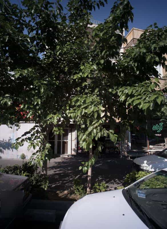 عکس کیف فروشی علی پاشا در سبلان