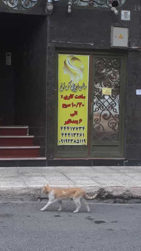 عکس سالن آرایش خاتون در جنت آباد جنوبی