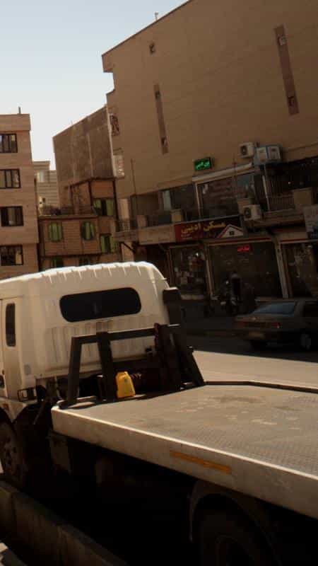 عکس پیرایش کاج در علی آباد جنوبی