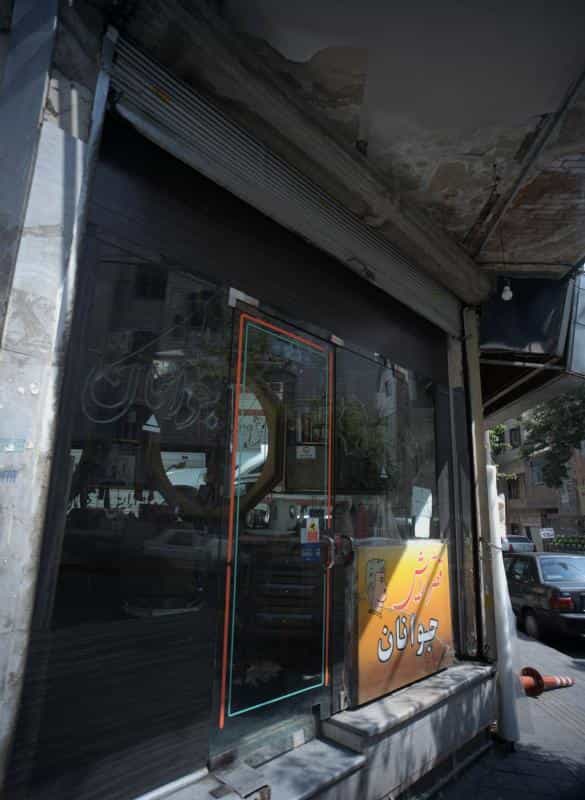 عکس قصر آرایش جوانان در ولیعصر جنوبی