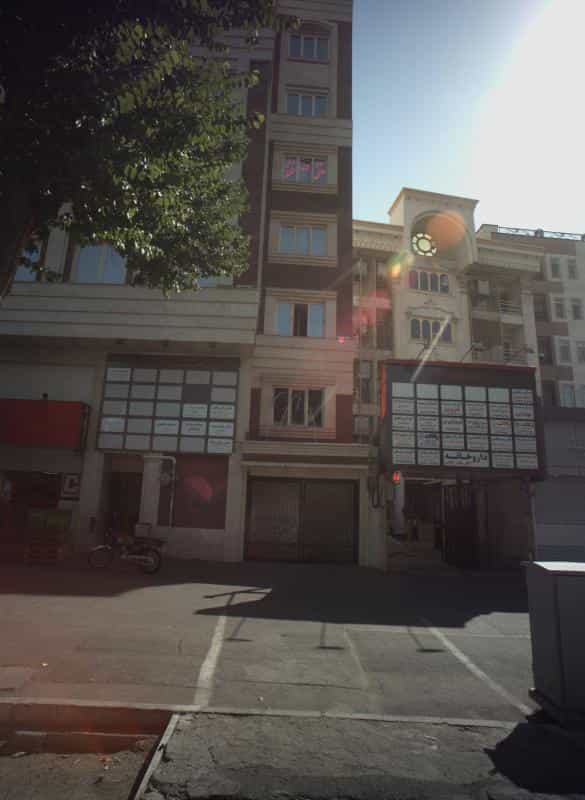 عکس زیبایی پایون در دروازه شمیران