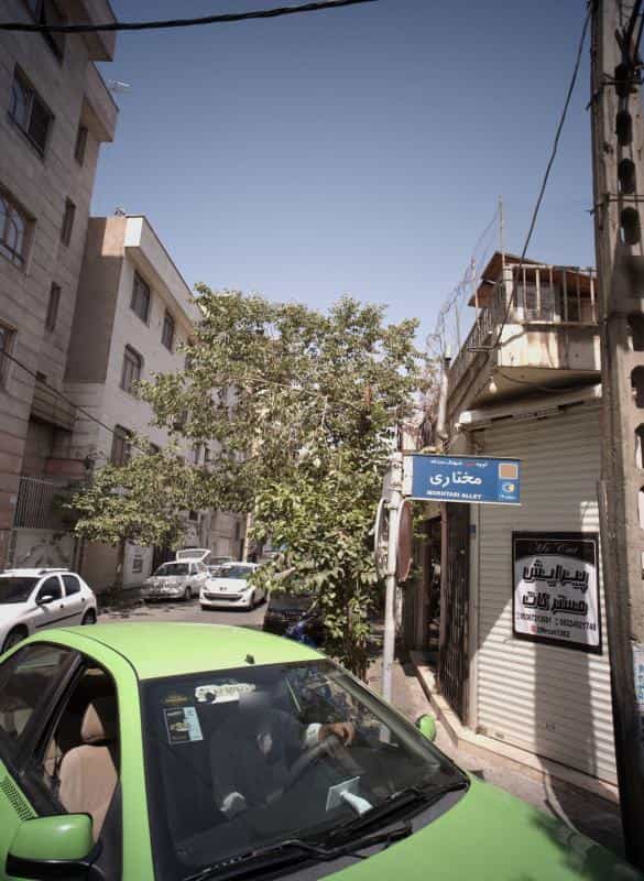 عکس پیرایش مسترکات در شکوفه