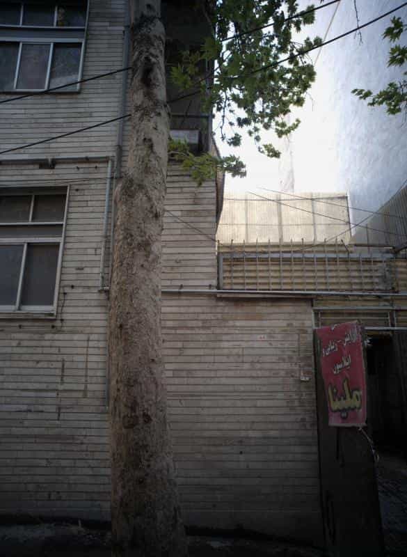 عکس سالن زیبایی ملینا در هاشمی