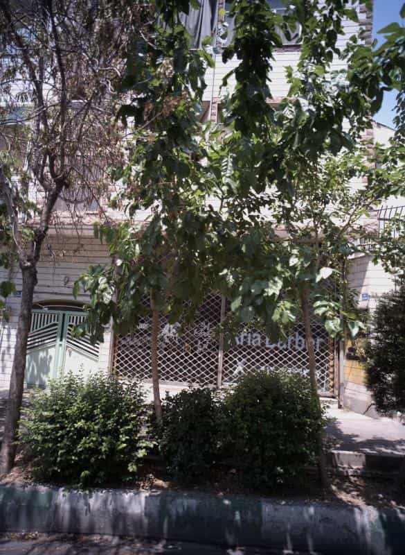 عکس پیرایش آریا در خزانه