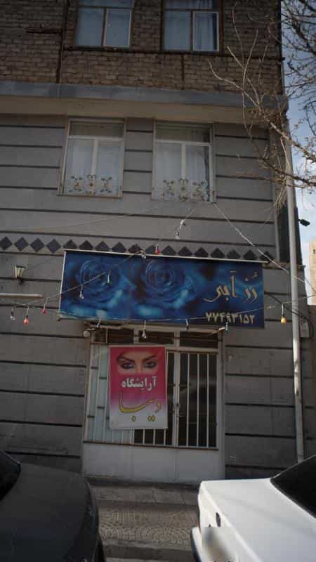 عکس رز آبی در اوقاف